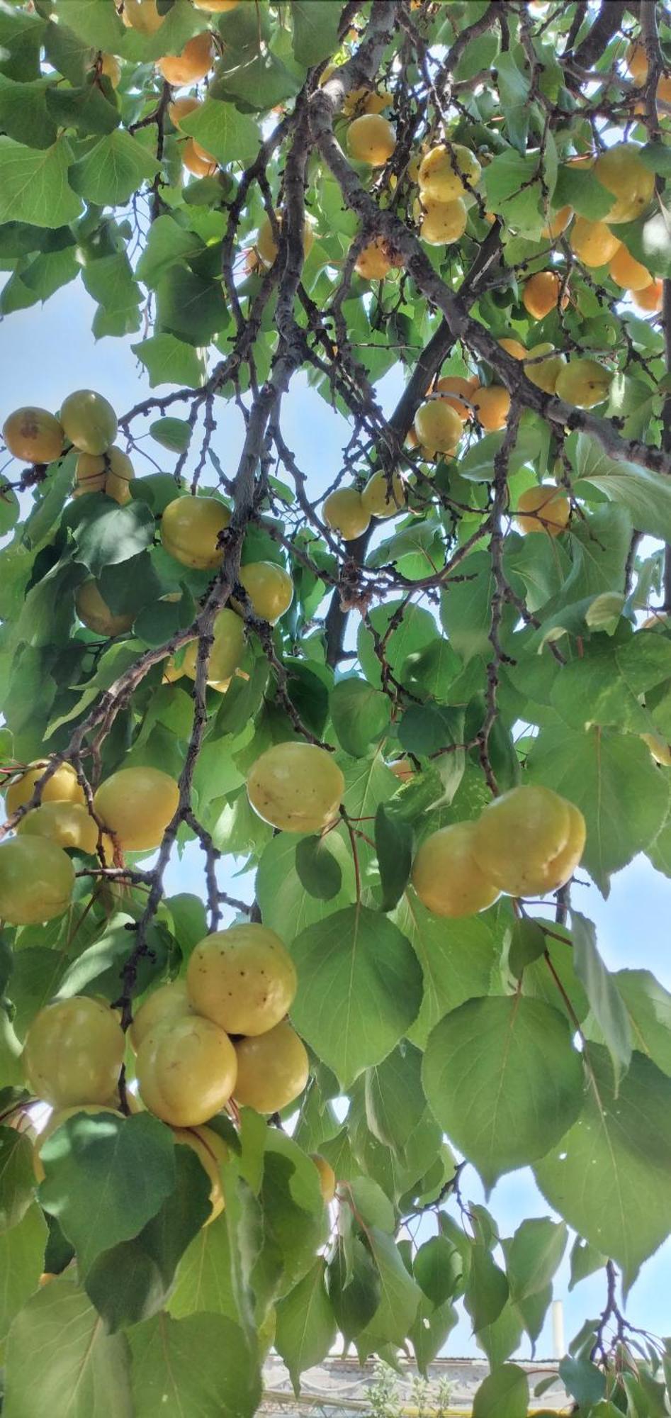 Yukon 호텔 보스테리 외부 사진